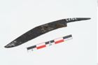 Foto von Eisengriffdornmesser (NHMW-PRAE-026164)